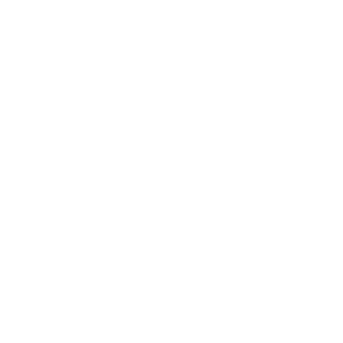 Elion Homme